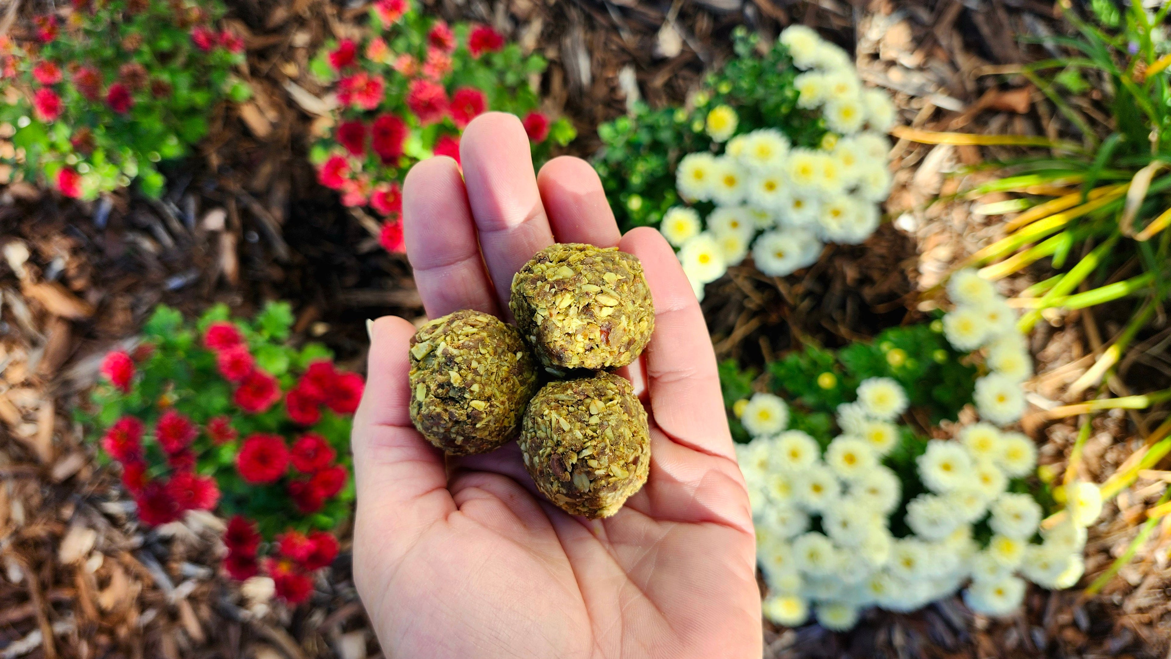 GPS Holistic - Story about Healthy Snacks