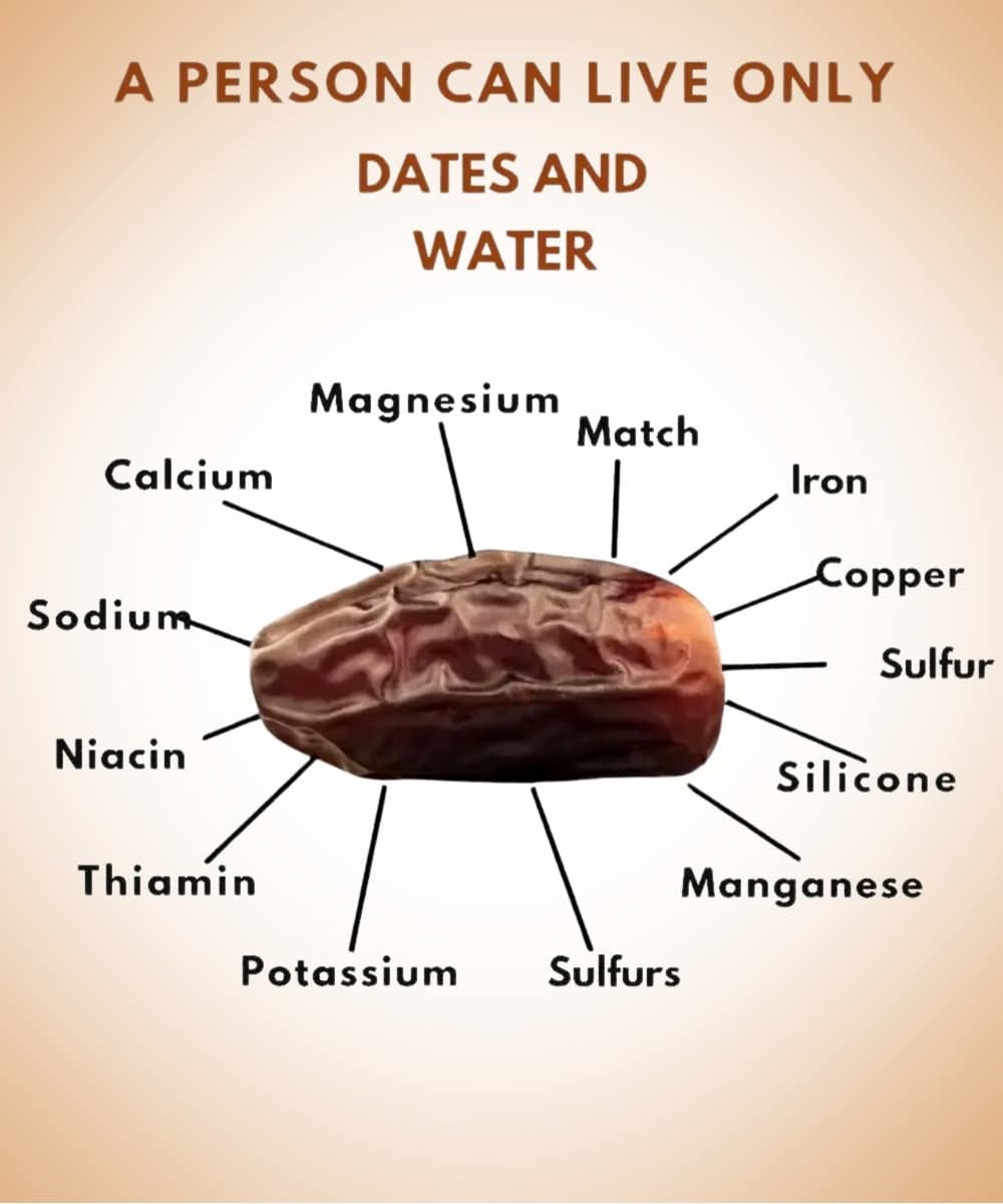 The Power of Dates - the first ingredient in our Energy Balls